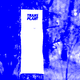 transplant